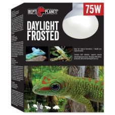 Bombilla daylight frosted 75w  Repti planet 